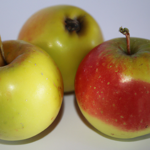 Apple Varieties and Their Best Uses Representation of a cookedApple Varieties and Their Best Uses